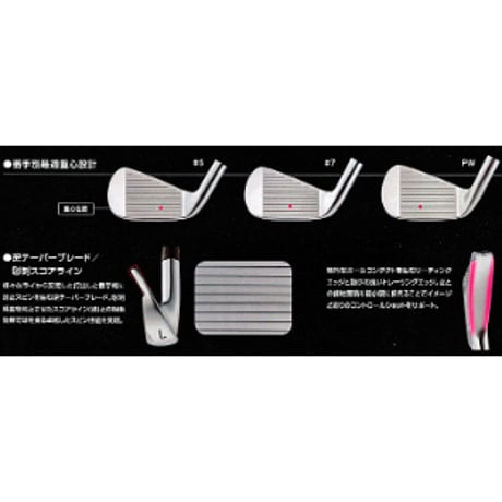 Ray CX S20C IRON 5本組(＃6〜PW) 装着シャフトNS PRO 950GH-S