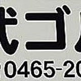 パークゴルフ専門店 V ゴルフ
