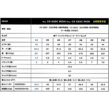 Ray CX S20C IRON 5本組(＃6～PW) 装着シャフトNS PRO 850GH-neo