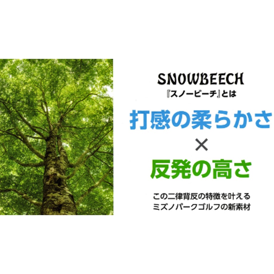 67ce9e1ab2940f2a55e2399d