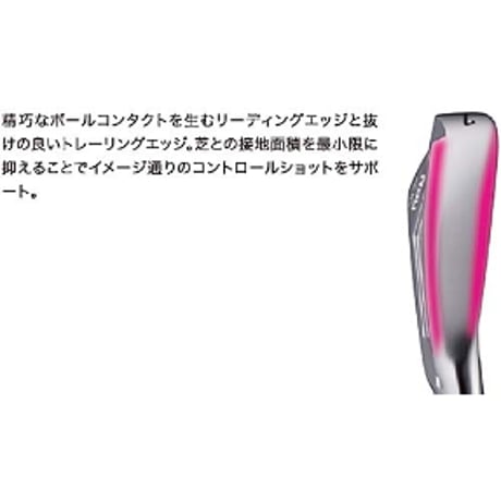 Ray CX S20C IRON 5本組(＃6～PW) 装着シャフトNS PRO 850GH-neo