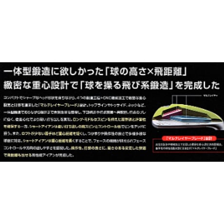 Ray CX S20C IRON 5本組(＃6～PW) 装着シャフトNS PRO 850GH-neo