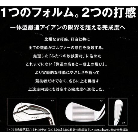 Ray CX S20C IRON 5本組(＃6〜PW) 装着シャフトNS PRO 950GH-S
