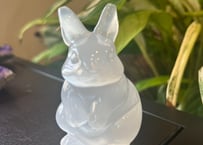 【A様専用】セレナイト うさぎ🐰