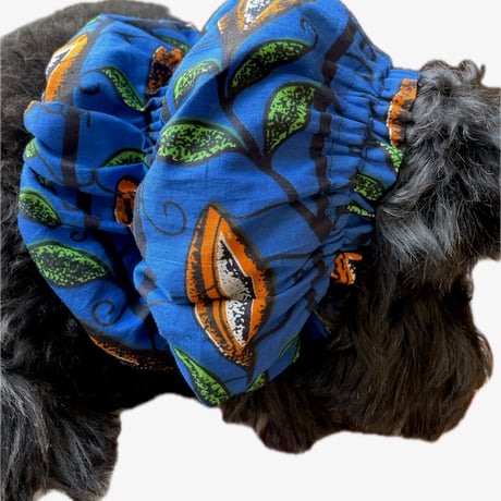 スタンダードプードル | STORES