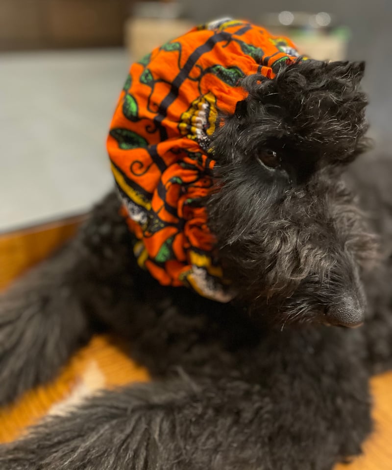 犬用スヌード 中大型犬用スヌード ずれにくい 2段スヌード | OOKAMI
