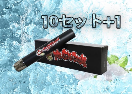 グリーンアップルメンソール/シーシャ 10本セット(1本おまけ付き