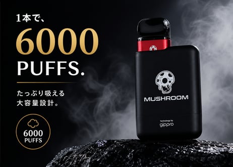 VAPEデバイス＋専用カートリッジ