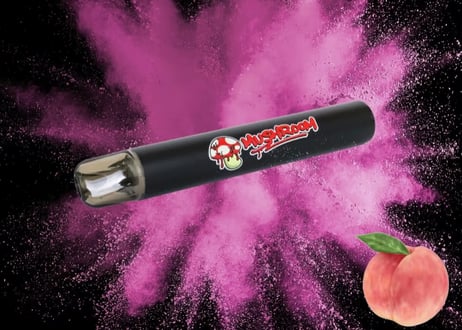 がーどまんマッシュルームシーシャ|MUSHROOM Online Store がーどまんマッシュルームシーシャ|MUSHROOM Online Store