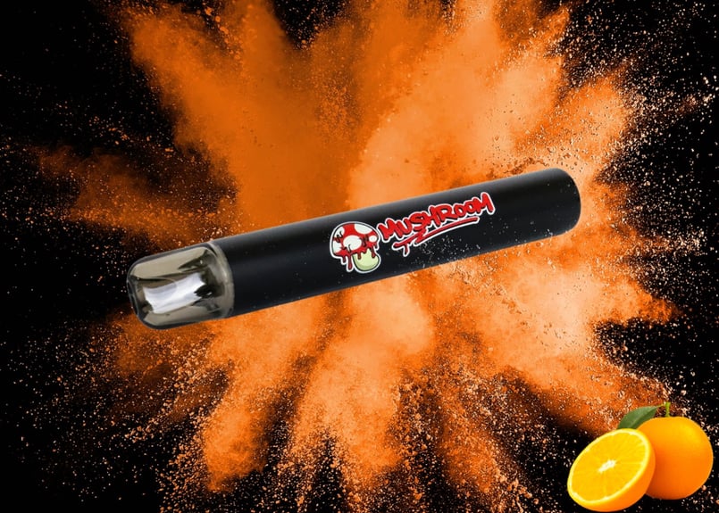 オレンジ／シーシャ | がーどまんマッシュルームシーシャ｜MUSHROOM