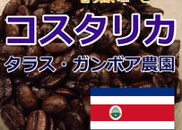 コスタリカ・タラス・ガンボア農園　自家焙煎　コーヒー