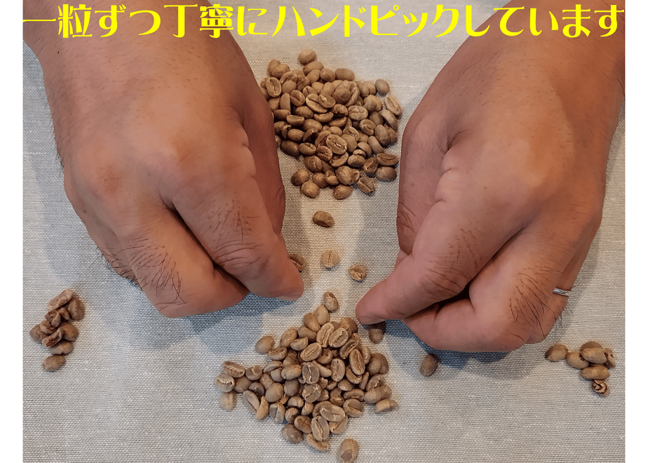 64d77d2c808e2c5a518dc746