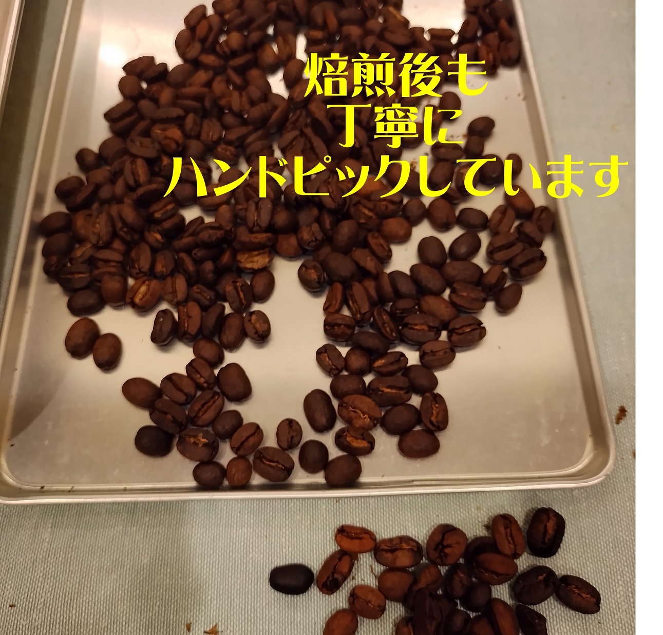 5月のコーヒー エチオピア カッファ ジナブ農園 ゲイシャG3