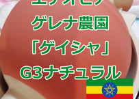 ８月のコーヒー　エチオピア　ゲレナ農園　ゲイシャ　Ｇ３ナチュラル　自家焙煎　コーヒー