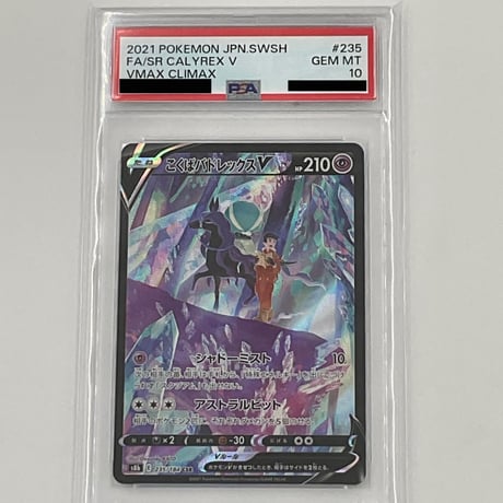 PSA10  こくばバドレックス V 【CSR】235/184