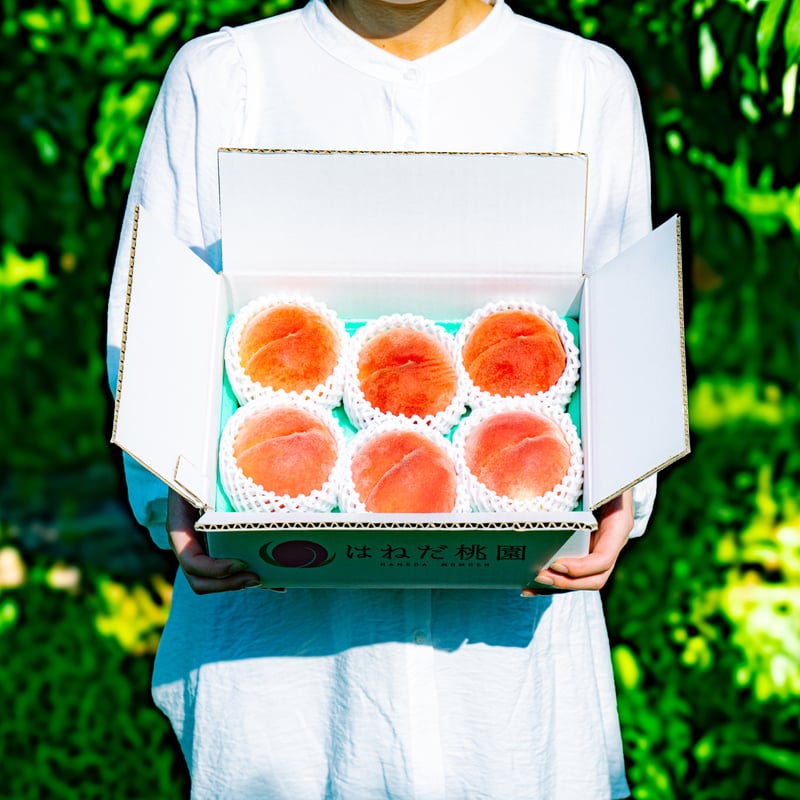 ☆専用 チー坊様 2箱【加工用:C級品】≪5kg箱≫桃 幸茜/さちあかね (訳