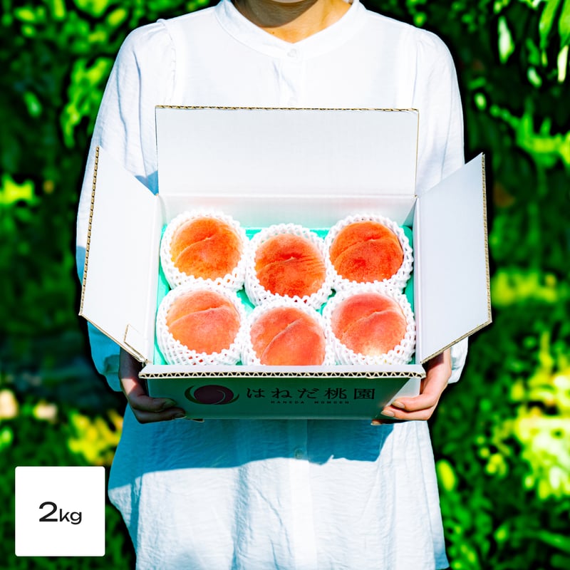 完熟もも「はつひめ」 | はねだ桃園オンラインストア