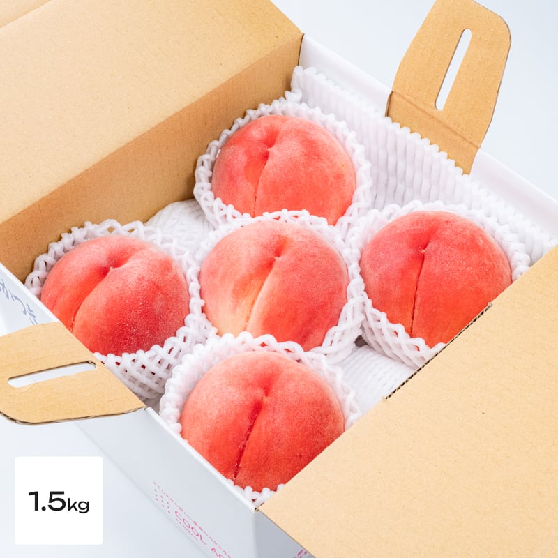 ☆専用 チー坊様 2箱【加工用:C級品】≪5kg箱≫桃 幸茜/さちあかね (訳