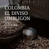 【限定品】コロンビア   エル・ディビソ農園 オンブリゴン／COLOMBIA--EL DIVISO OMBLIGON