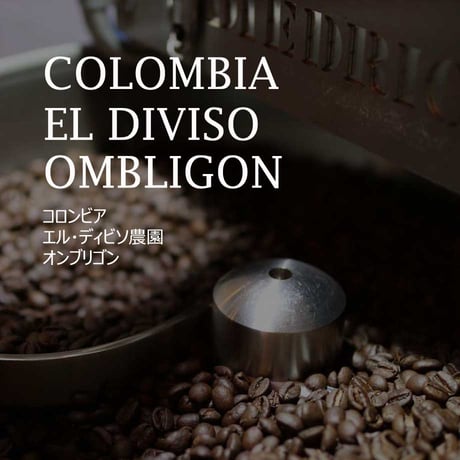 【限定品】コロンビア   エル・ディビソ農園 オンブリゴン／COLOMBIA--EL DIVISO OMBLIGON