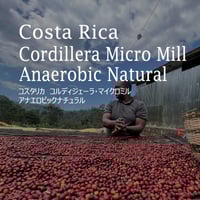 コスタリカ　コルディジェーラ・マイクロミル　アナエロビックナチュラル／Cordillera Micro Mill  Anaerobic Natural