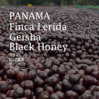 【プレミアムリミテッド】パナマ　レリダ農園　 ゲイシャ　ブラックハニー／PANAMA-Finca Lerida Geisha Black Honey
