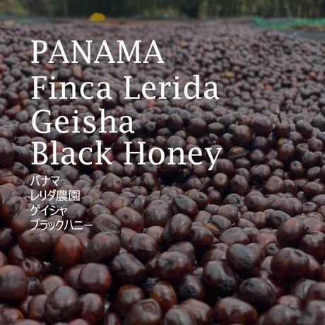 【プレミアムリミテッド】パナマ　レリダ農園　 ゲイシャ　ブラックハニー／PANAMA-Finca Lerida Geisha Black Honey