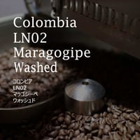 コロンビア   LN02　マラゴシーペ　ウォッシュド／COLOMBIA--LN02 Maragogipe washed