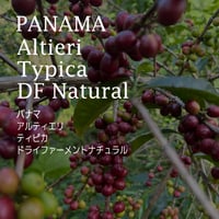 【プレミアムリミテッド】パナマ　アルティエリ　ティピカ　ドライファーメントナチュラル／PANAMA---Altieri Typica DF Natural