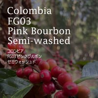 コロンビア  FG03 ピンクブルボン セミウォッシュド／Colombia FG03 Pink Bourbon Semi-ｗashed