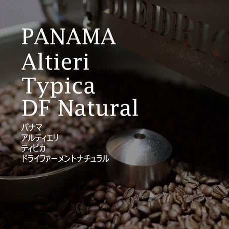パナマ　アルティエリ　ティピカ　ドライファーメントナチュラル／PANAMA---Altieri Typica DF Natural