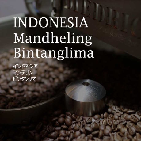 インドネシア　マンデリン　ビンタンリマ／INDONESIA----Mandheling Bintanglima