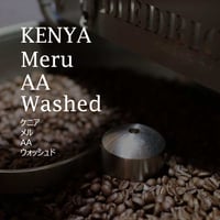 ケニア メルAA  ウォッシュド／KENYA--Meru AA washed