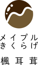 楓耳茸：メイプルきくらげショップ