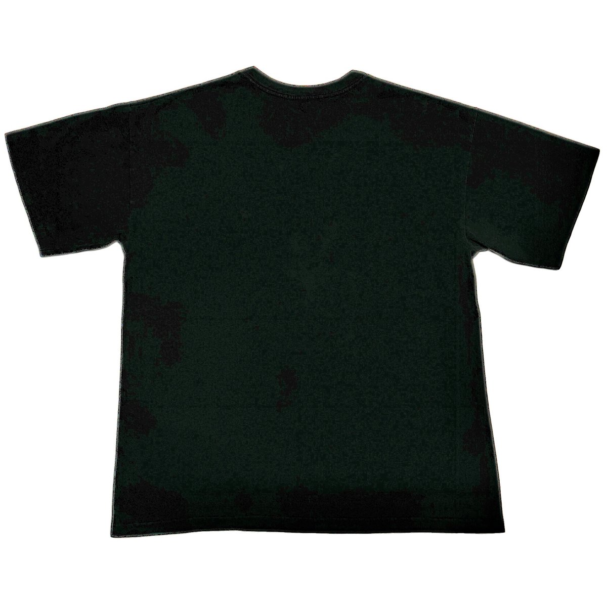 SHANIA TWAIN シャナイアトゥエイン BLACK XL Tシャツ | NOWWHER