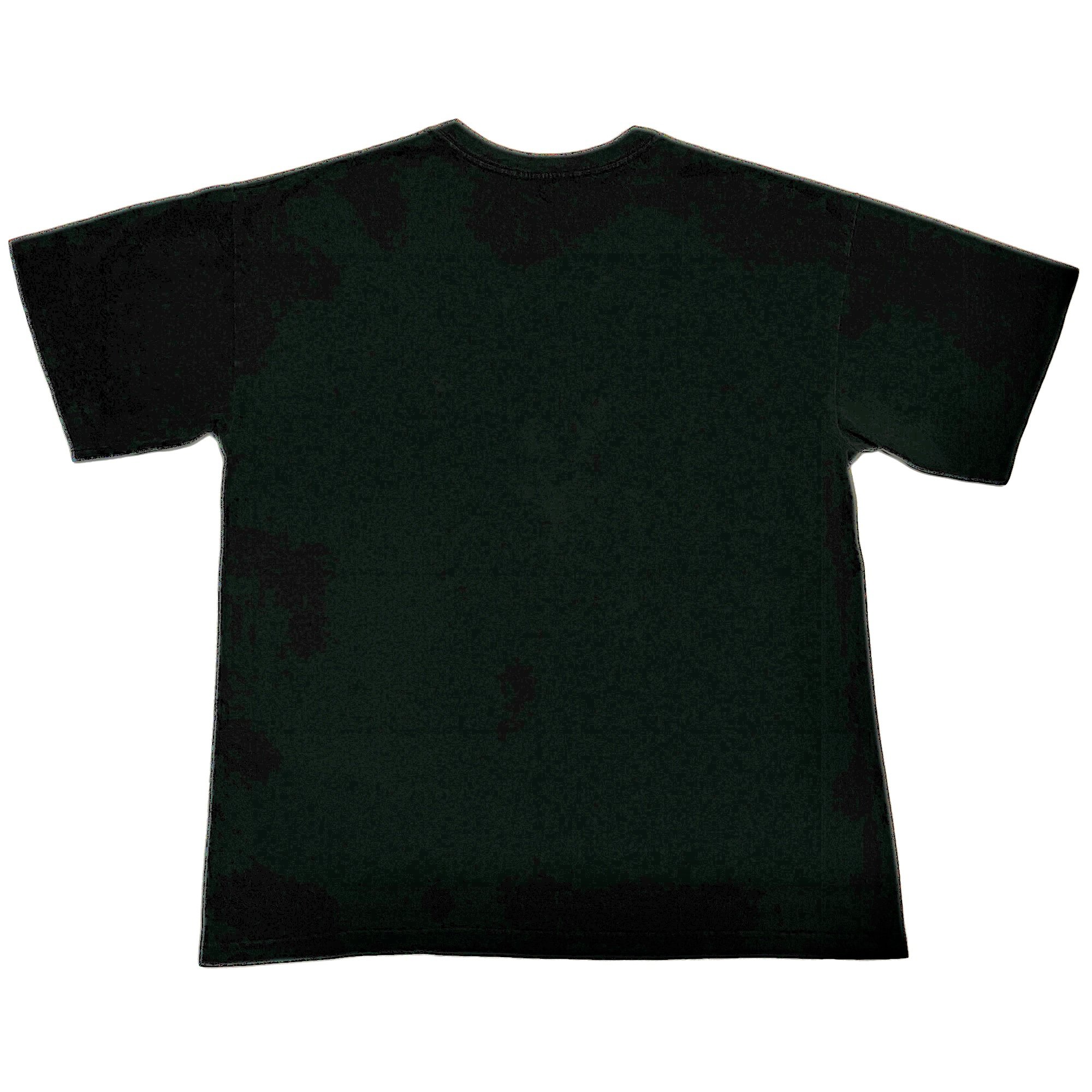 SHANIA TWAIN シャナイアトゥエイン BLACK XL Tシャツ | NOWWHER