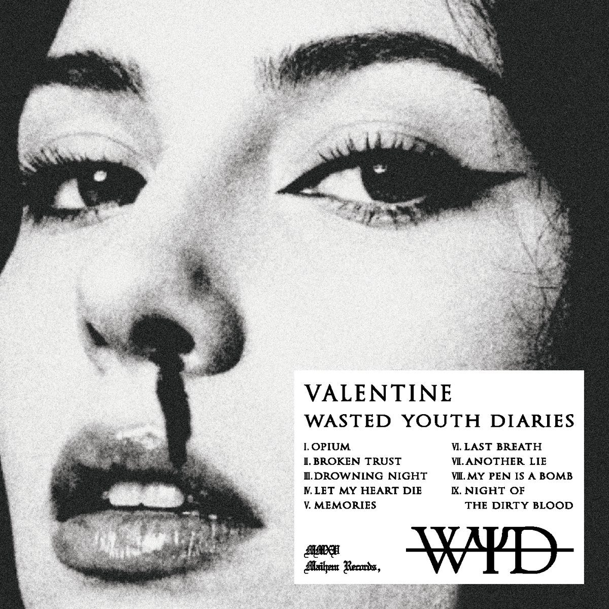 Wasted youth diaries : 1st album 