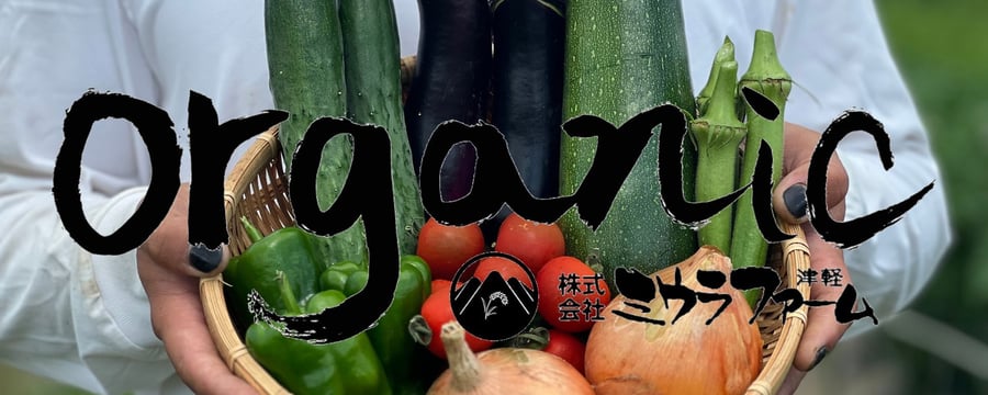 【専用】野菜様 くくりんぼ～ K-100 ミキロコス 標識・看板 新鮮野菜直売所