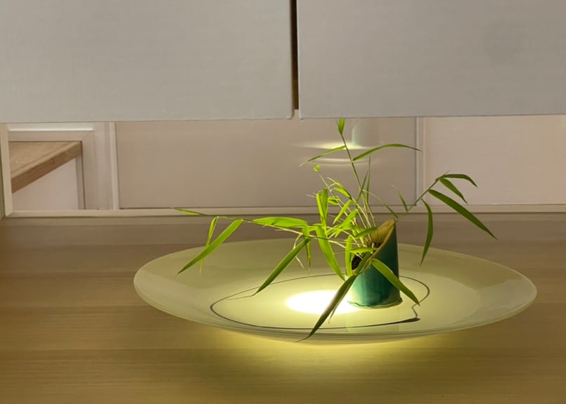 江戸時代 緑釉鉢17枚 木箱付 幅約12.5㎝ 東Y7-1112④ 緑釉指描文鉢