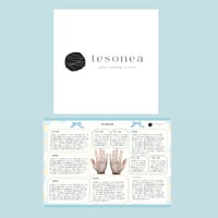 tesonea鑑定書