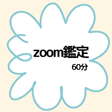 単品購入不可！zoomオプション60分