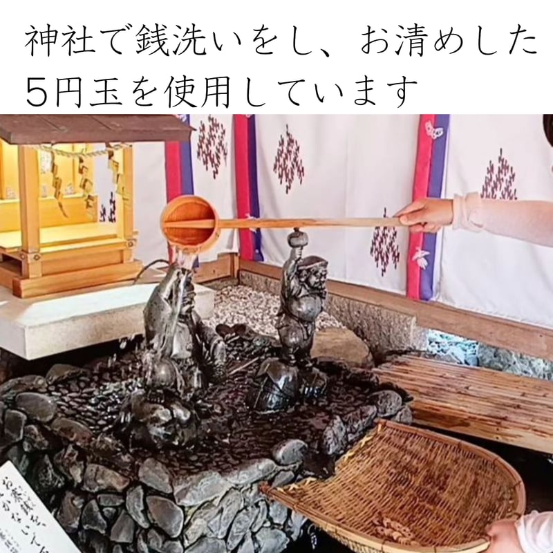 水引 五円玉亀 | はわ-MIZUHIKI-