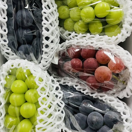 クイーンニーナ | STORES