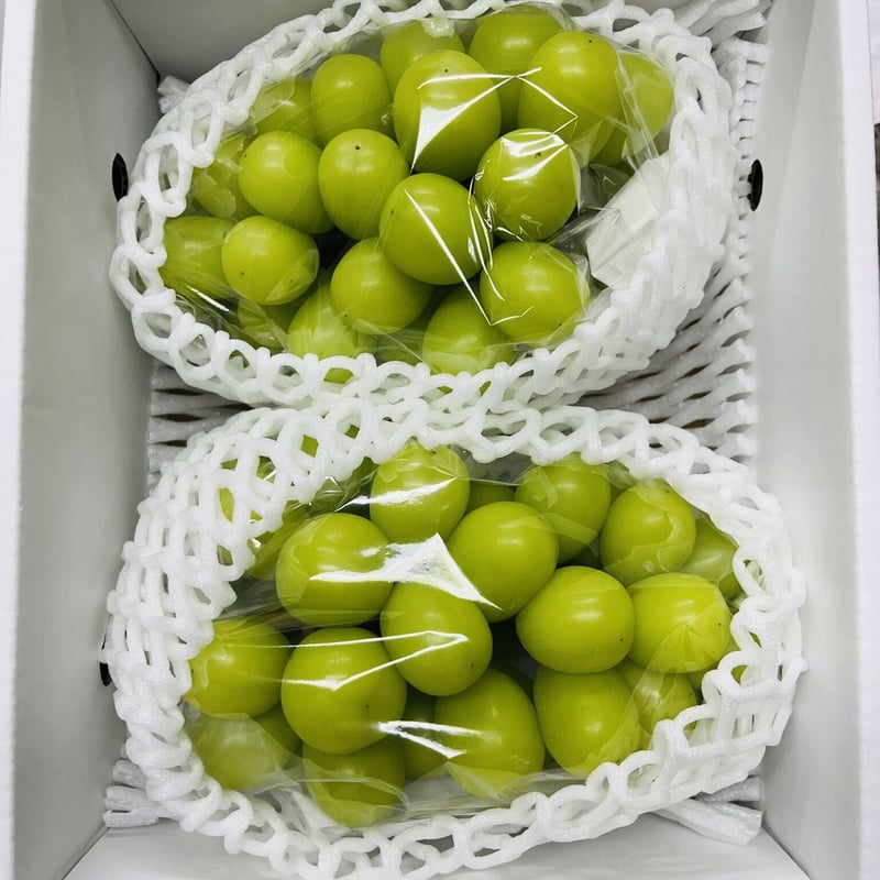 ロビン様専用 シャインマスカット約4.8kg×4箱 【公式通販】