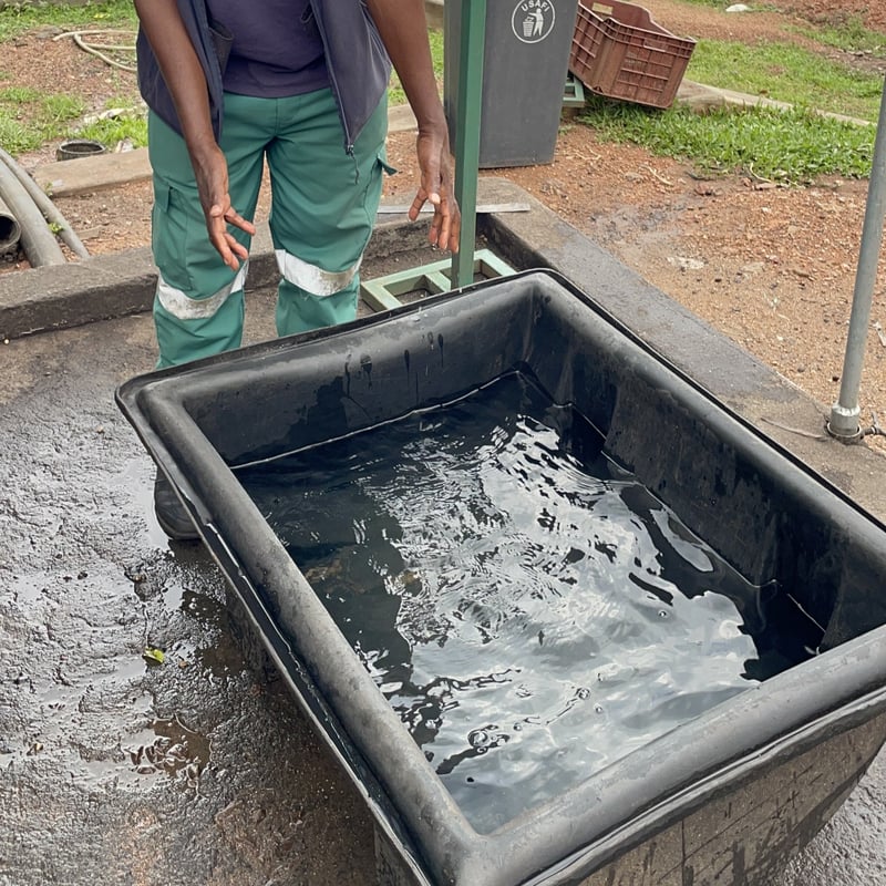 sufficient 【ウガンダ ルウェンゾリ ニャビロンゴWS ウォッシュド