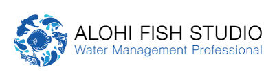 ALOHI FISH STUDIO
