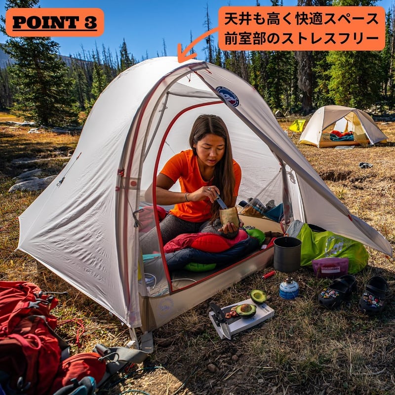 ビッグアグネス フライクリークHV UL2 ソリューションダイ ビッグアグネス フライクリークHV UL2 ソリューションダイ