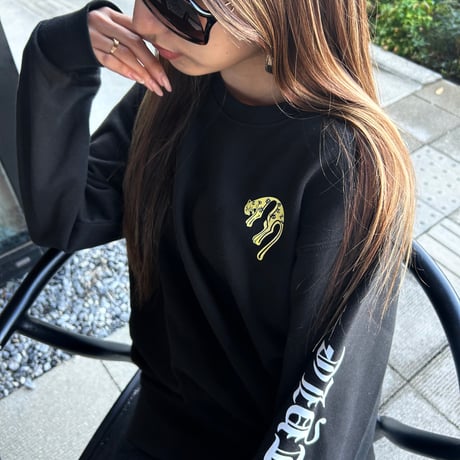 Panther(トレーナー)