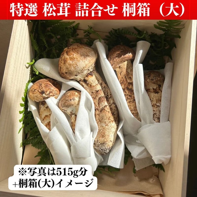 オーダーメード】<10月発送>松茸詰め合わせ 200g | 国産松茸 オーダーメード】<10月発送>松茸詰め合わせ 200g | 国産松茸