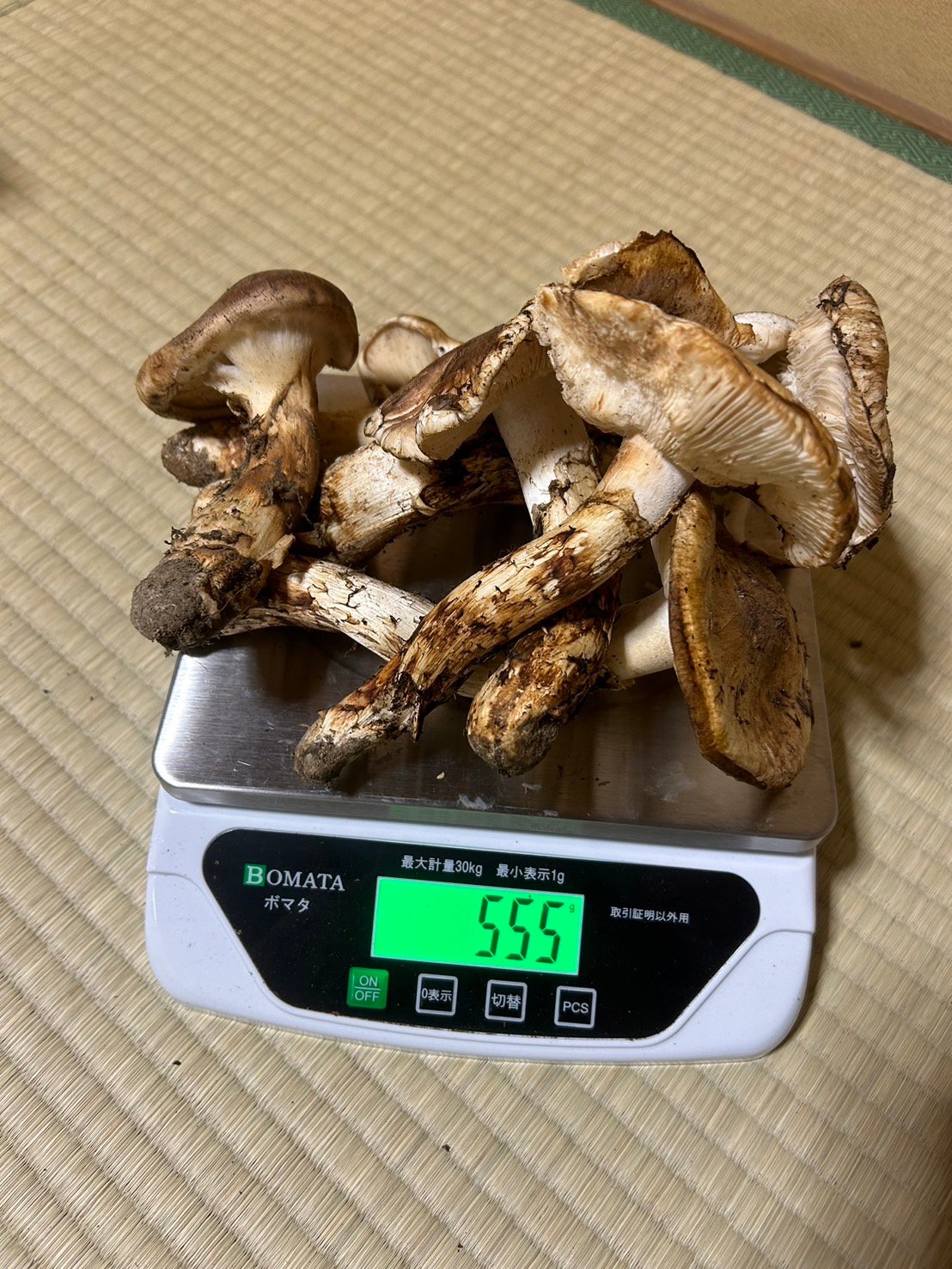 本日採れたて松茸、フランボ様、専用ページです！ 33abf4695b9c213981b45e47163411